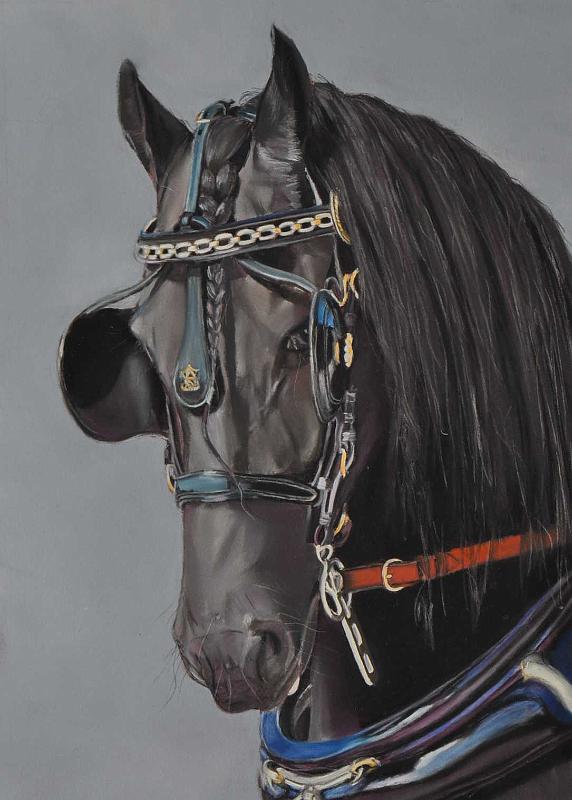 DSC_9825.JPG -  Pastel format /size 40 x 50