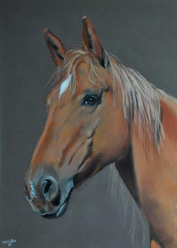 IDYLLE.jpg -  Pastel format /size 40 x 50