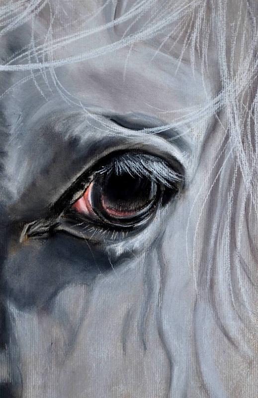 cheval-blanc.jpg - Pastel   format /size 30x40