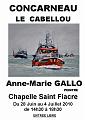 Aff-chalu-expo-concarneau