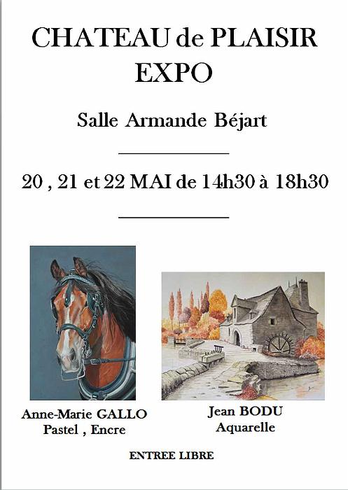 expo-perso-plaisir-2016.jpg