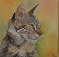chat1