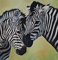 zebre