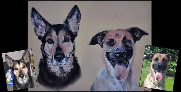 chiens-melanie.jpg - Pastel   format /size 30x40